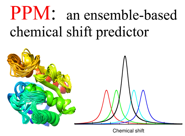 PPM: Protein Chemical shift prediction from static structure or ensemble of structures